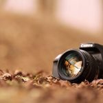 natural-light-photography