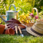 natural healthy garden