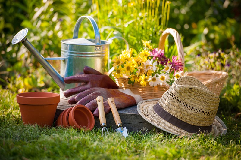 5 Tips for a natural healthy garden