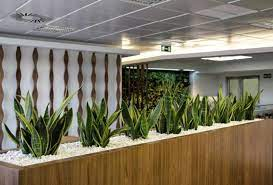 Reasons to Incorporate Plants in Your Business Reception